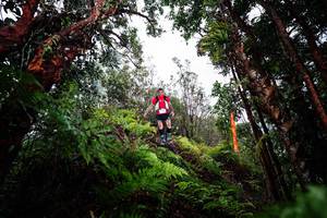 BIB: 
                            <button type="button" onclick="openModal(26203680)" class="btn btn-primary btn-sm float-right btn-popup" data-toggle="modal" data-target=".modal-high-quality">
                        <i class="fas fa-shopping-cart"></i> Add to Cart
                    </button>
                                            <button type="button" onclick="isThisMe(26203680, true)" class="btn btn-success btn-sm float-right btn-popup btn-isme hidden" data-toggle="tooltip" data-placement="bottom" title="นี่คือรูปของคุณใช่ไหม คลิกที่นี่เพื่อเอาเข้าอัลบั้ม">
                        <i class="fas fa-plus"></i> Add to album
                    </button>
                    <button type="button" onclick="isThisMe(26203680, false)" class="btn btn-warning btn-sm float-right btn-popup btn-isnotme hidden">
                        <i class="fas fa-ban"></i> Remove from album
                    </button>